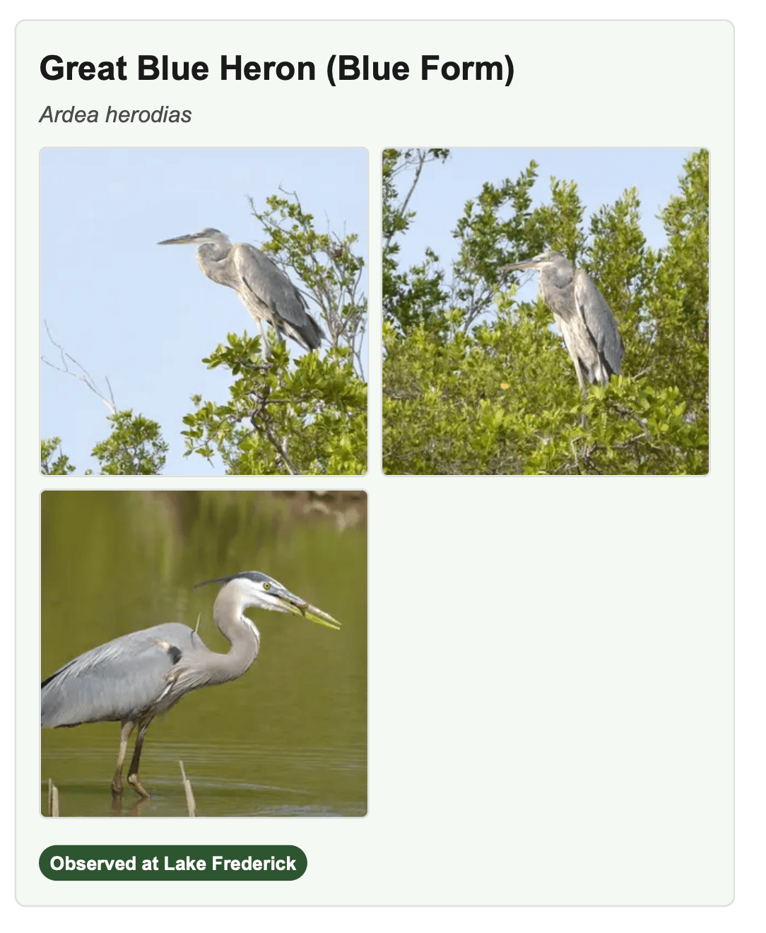 Field Guide Preview